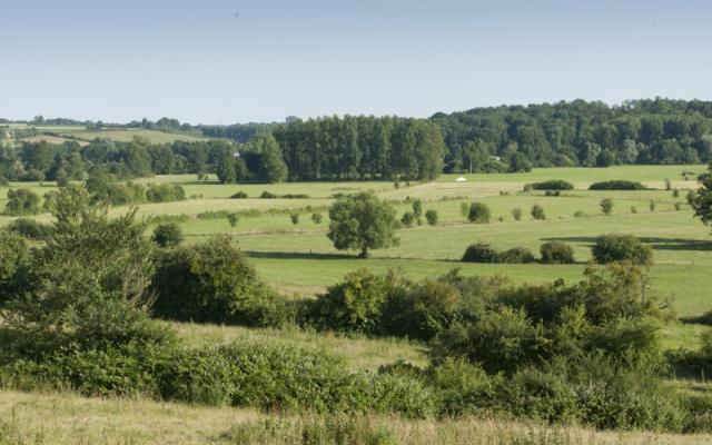 Bocage de Thiérache ©Benjamin Teissèdre