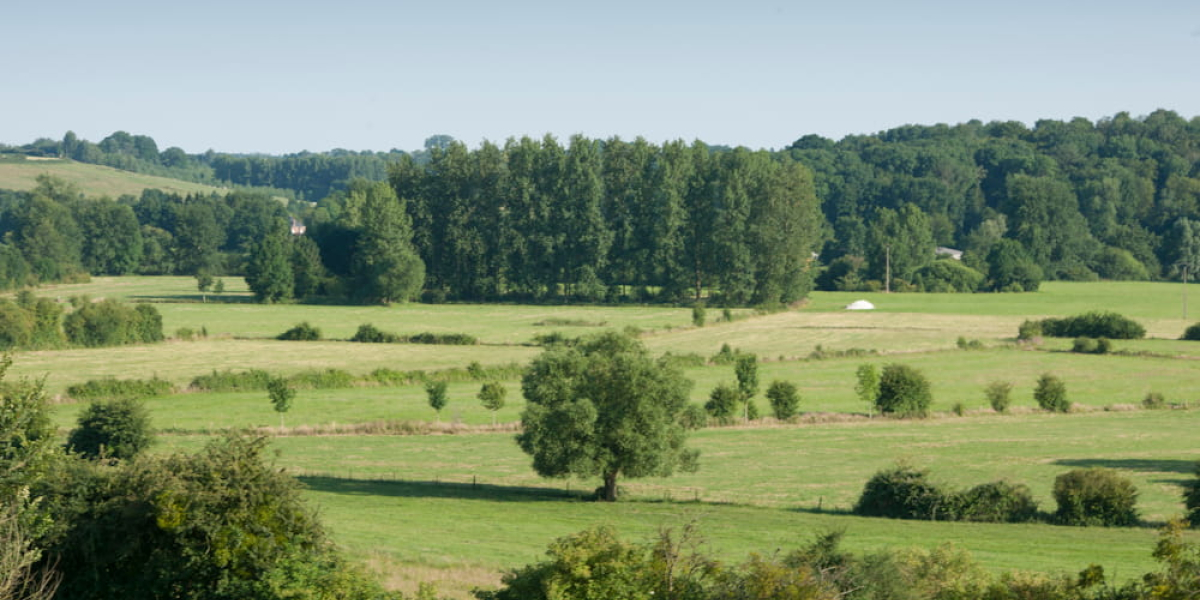 Bocage de Thiérache