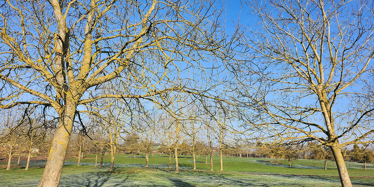 ©Kim Vigneron - Oise Tourisme