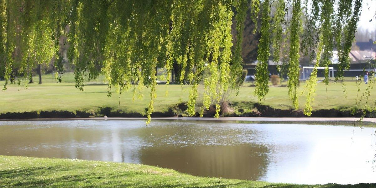 Plan d'eau ©Ville de Breteuil