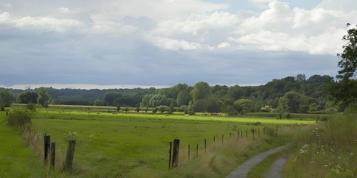 Campagne de Thiérache