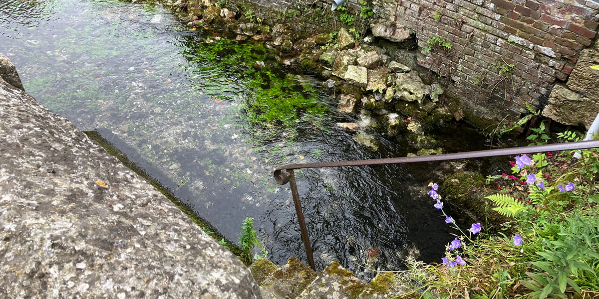 La source de la Luce