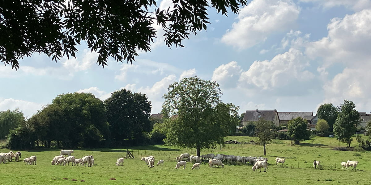 Vue sur le bocage © Véronique Marty - Oise Tourisme