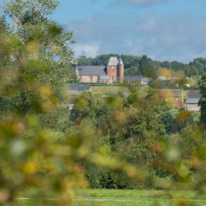 Entre Saint-Algis et Autreppes