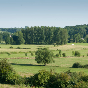Bocage de Thiérache