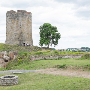 Château fort de Guise