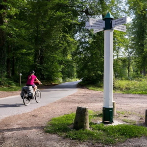 Forêt d'Halatte ©Un monde à vélo
