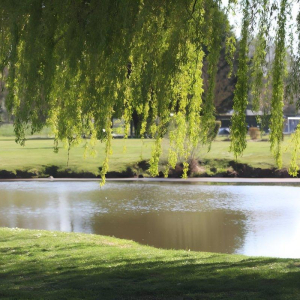 Plan d'eau ©Ville de Breteuil