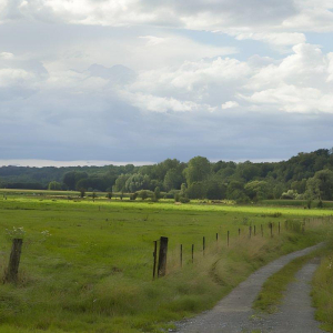 Campagne de Thiérache