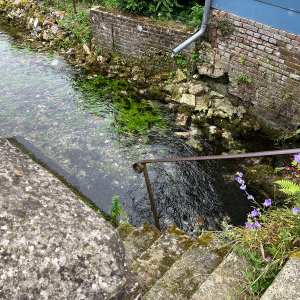 La source de la Luce