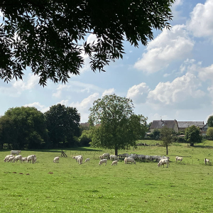 Vue sur le bocage © Véronique Marty - Oise Tourisme