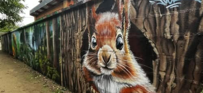 Nature en ville du street-artiste Aéro Jock dans la ruelle des Ursulines