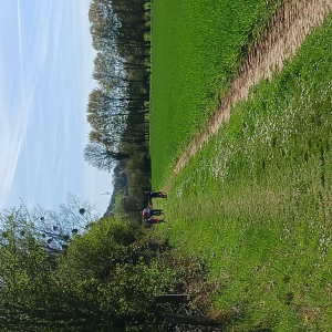 Arrête ton char, Louison !