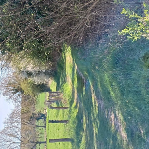 Arrête ton char, Louison !