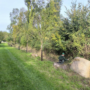 Arrête ton char, Louison !