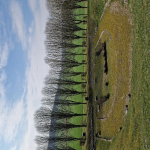 Arrête ton char, Louison !