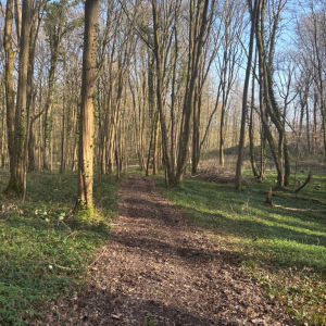 Arrête ton char, Louison !