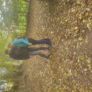 Arrête ton char, Louison !