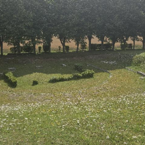 Arrête ton char, Louison !