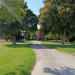 Arrête ton char, Louison !