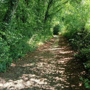 Arrête ton char, Louison !