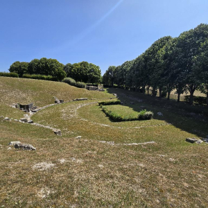 Arrête ton char, Louison !