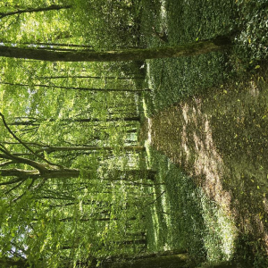 Arrête ton char, Louison !