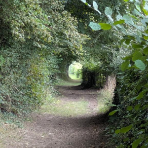 Arrête ton char, Louison !