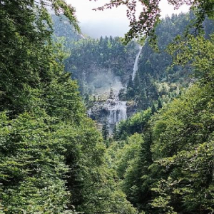 Arrête ton char, Louison !