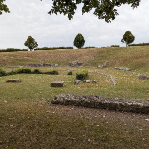 Arrête ton char, Louison !