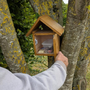 Arrête ton char, Louison !