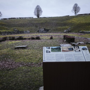 Arrête ton char, Louison !