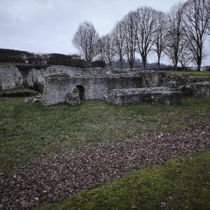 Arrête ton char, Louison !