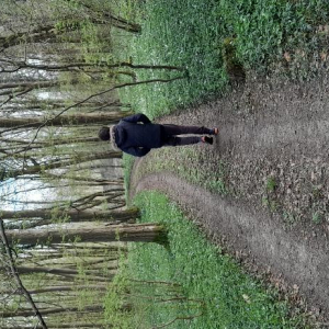 Arrête ton char, Louison !