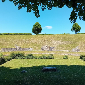 Arrête ton char, Louison !