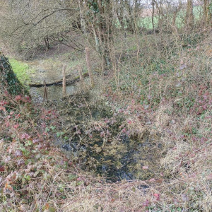 Arrête ton char, Louison !