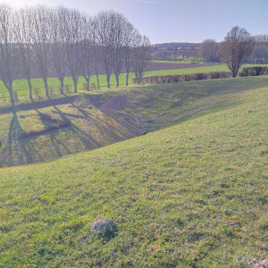 Arrête ton char, Louison !