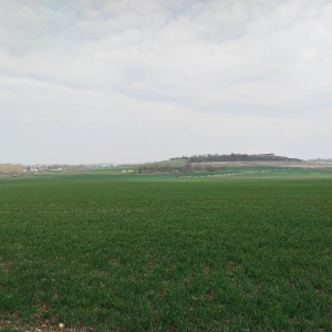 Arrête ton char, Louison !