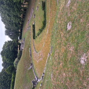 Arrête ton char, Louison !