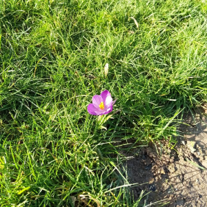 Dans l'objectif d'Hippolyte