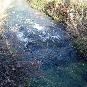 Dans l'objectif d'Hippolyte