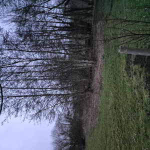 Dans l'objectif d'Hippolyte