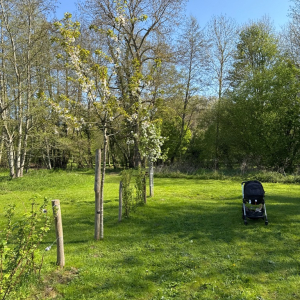 Dans l'objectif d'Hippolyte