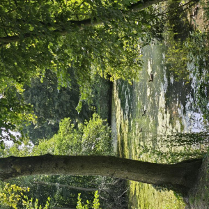 Dans l'objectif d'Hippolyte