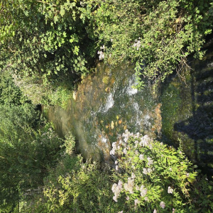 Dans l'objectif d'Hippolyte