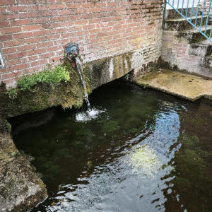 Dans l'objectif d'Hippolyte