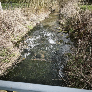 Dans l'objectif d'Hippolyte