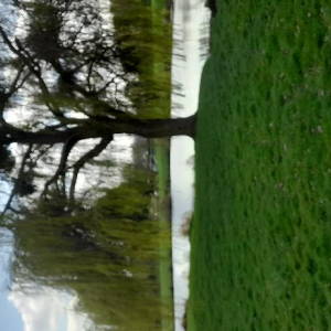 Dans l'objectif d'Hippolyte