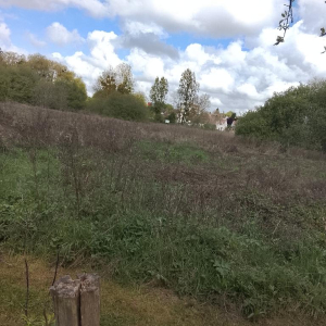 Dans l'objectif d'Hippolyte