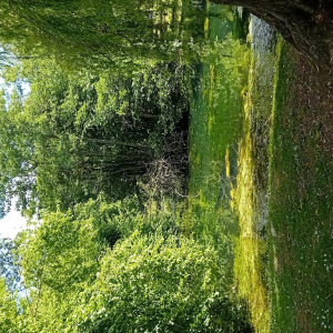 Dans l'objectif d'Hippolyte